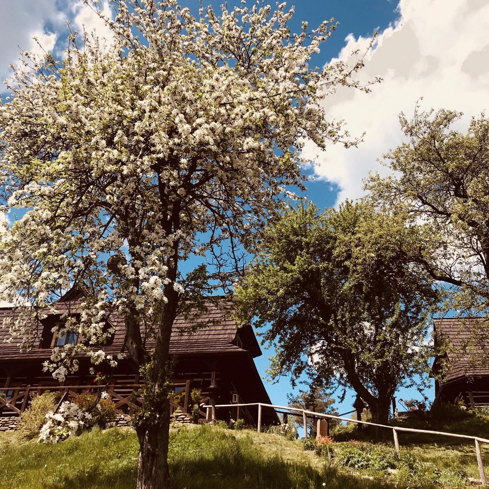 Villa Maciejewka Zahoczewie Esterno foto