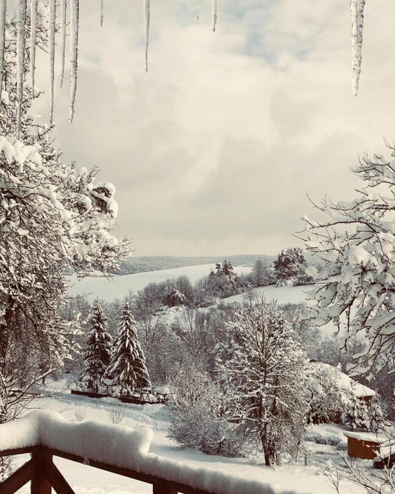 Villa Maciejewka Zahoczewie Esterno foto