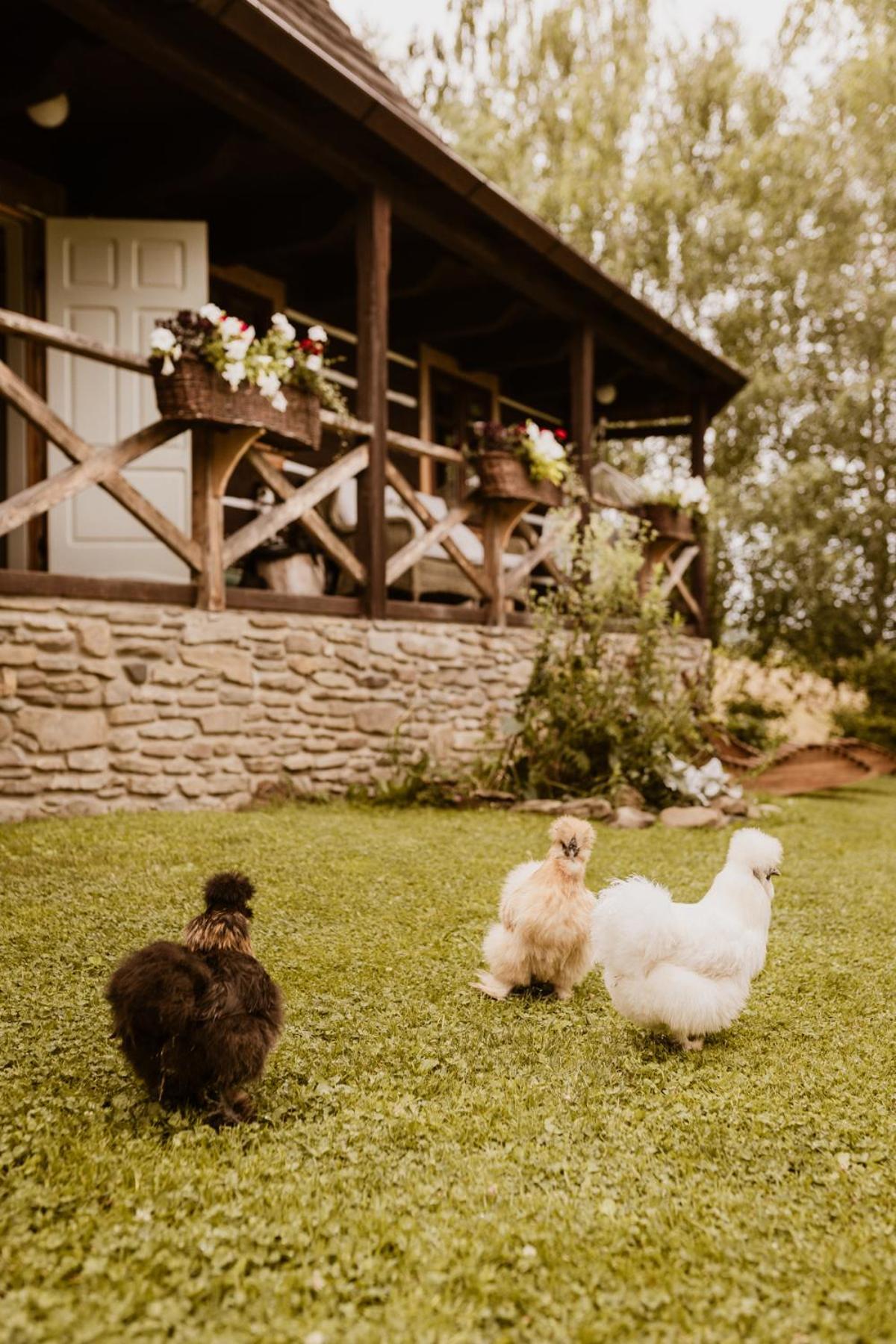 Villa Maciejewka Zahoczewie Esterno foto