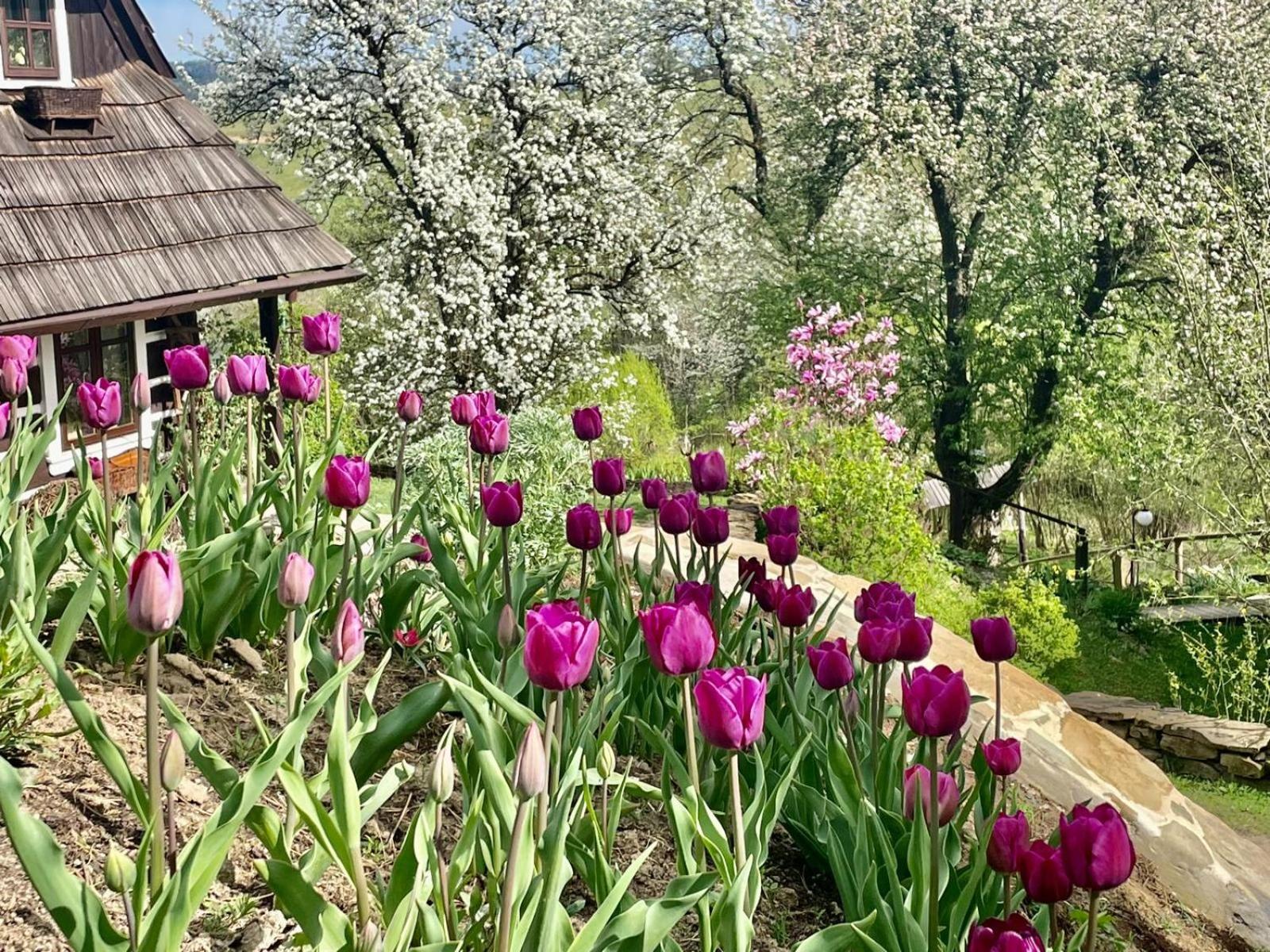 Villa Maciejewka Zahoczewie Esterno foto
